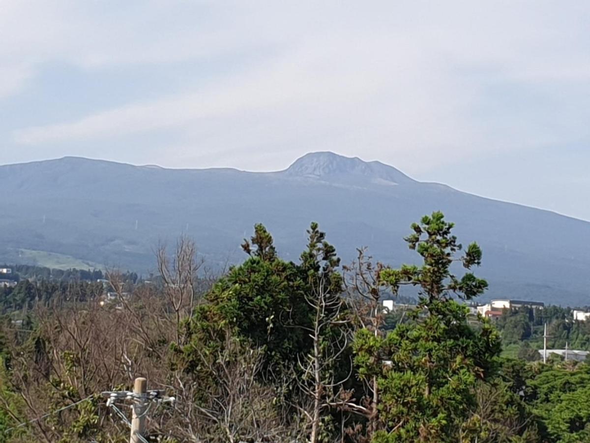 Jeju Soroan Pension Σεογκουίπο Εξωτερικό φωτογραφία